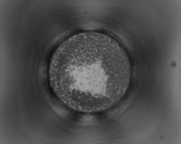 X0000100840547200807180922
