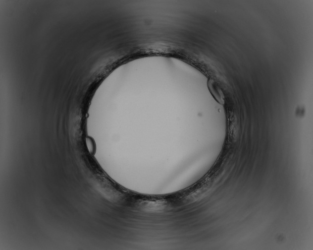 X0000100840548200807180922