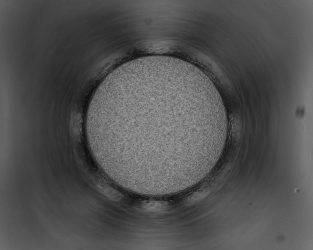 X0000100840549200807180922