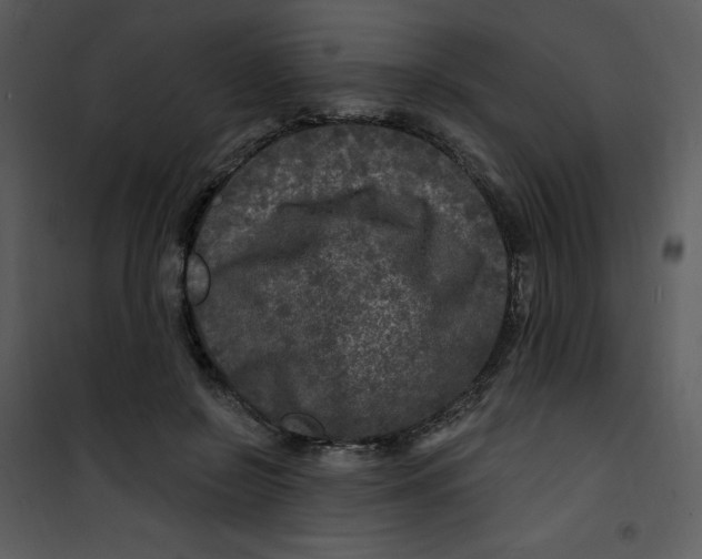 X0000100840550200807180922