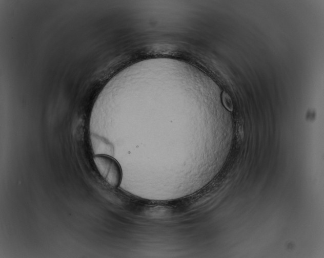 X0000100840551200807180922