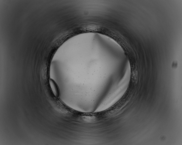 X0000100840552200807180922