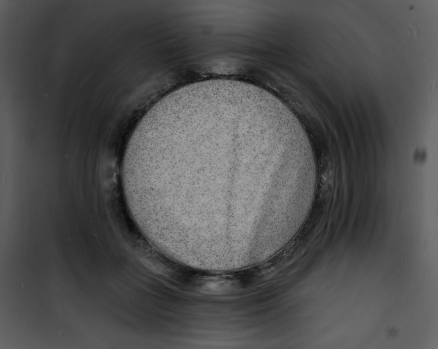 X0000100840555200807180923