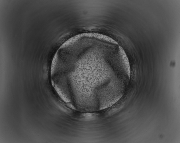 X0000100840558200807180923