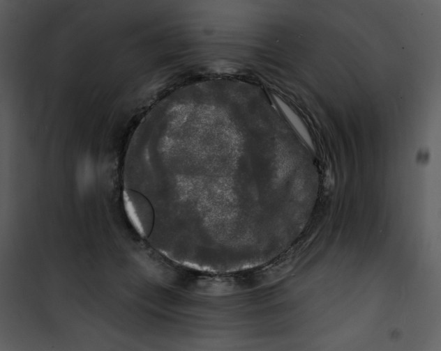 X0000100840559200807180923