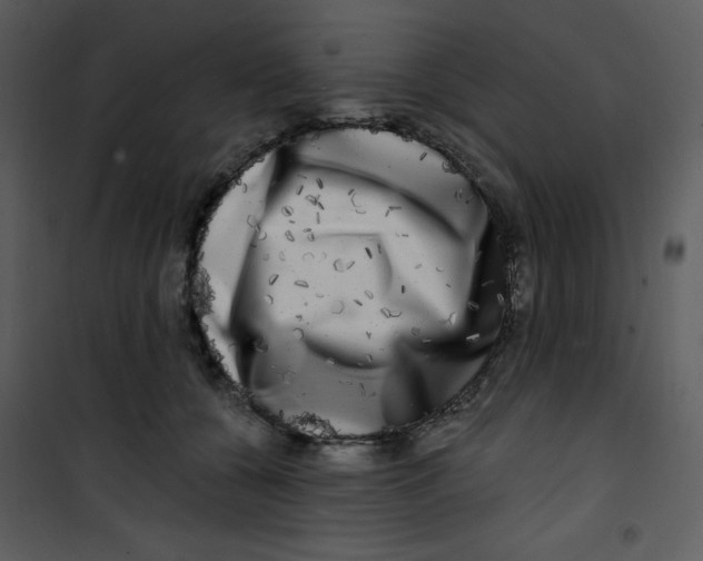 X0000100840560200807180923