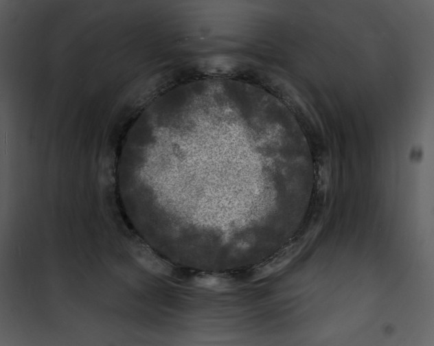 X0000100840561200807180923