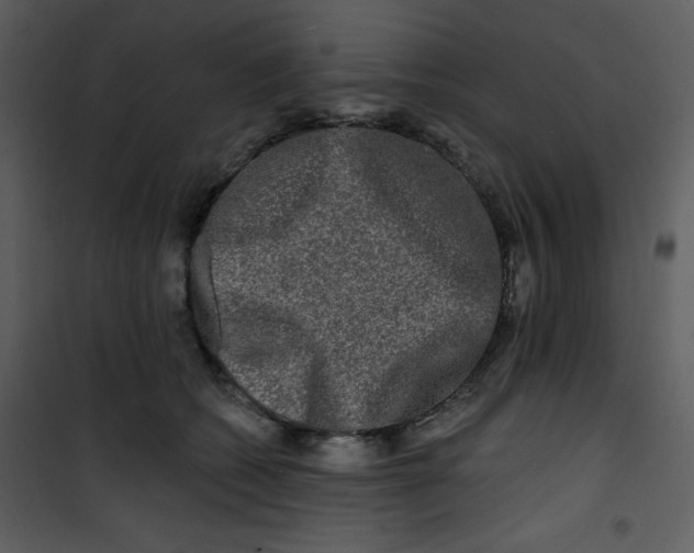 X0000100840562200807180923