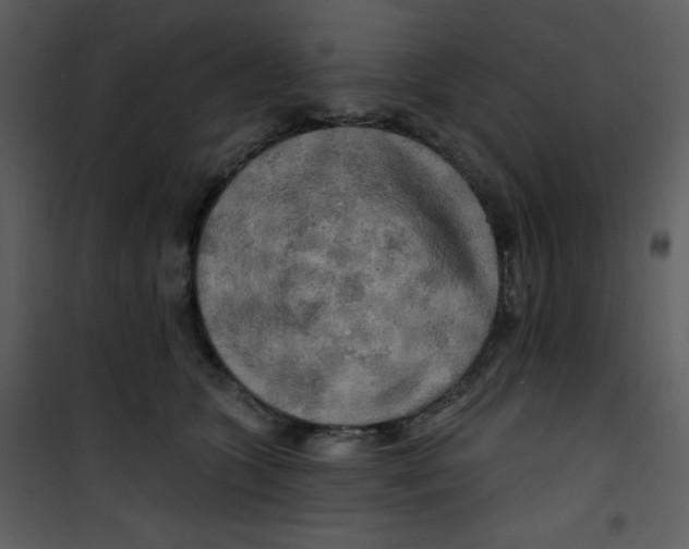 X0000100840563200807180923