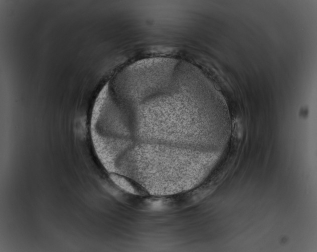 X0000100840564200807180923