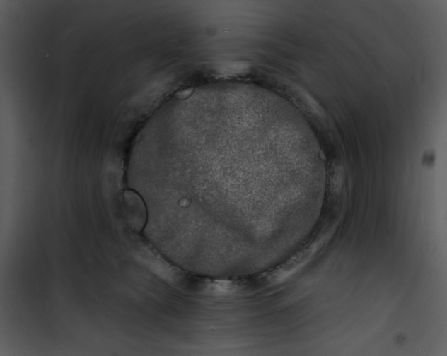 X0000100840565200807180923