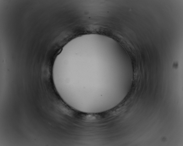 X0000100840566200807180923