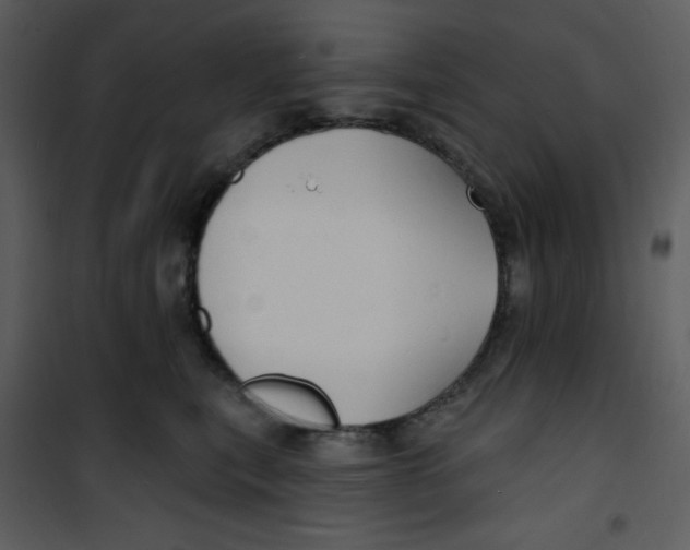 X0000100840567200807180923