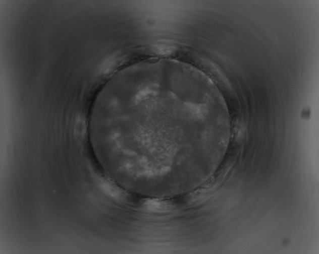 X0000100840568200807180923