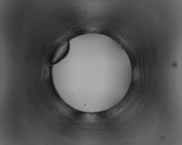 X0000100840570200807180923