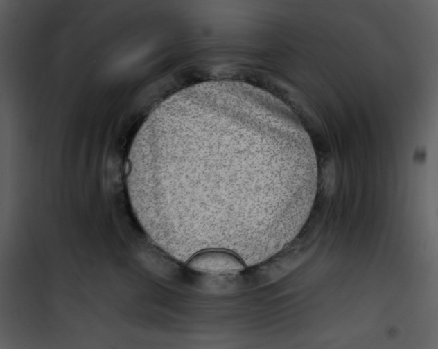 X0000100840571200807180923