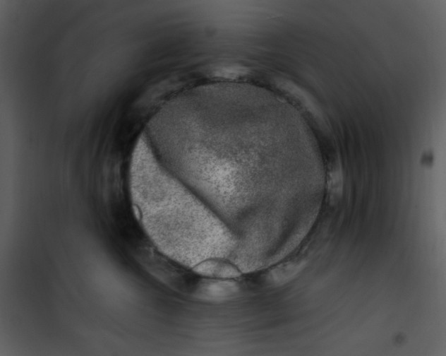 X0000100840572200807180923