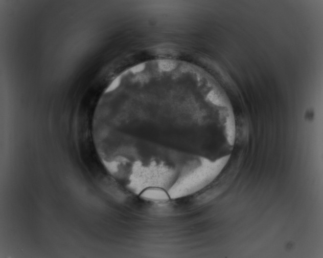 X0000100840573200807180923