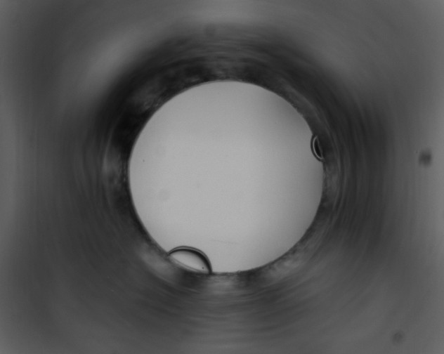 X0000100840574200807180923