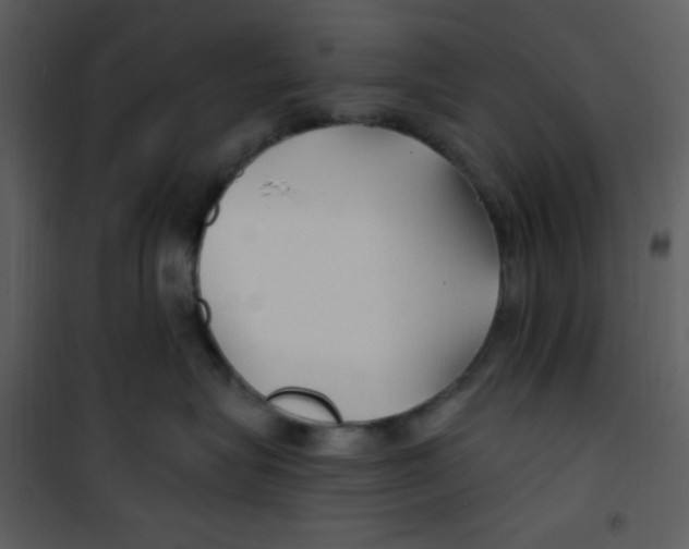 X0000100840575200807180923