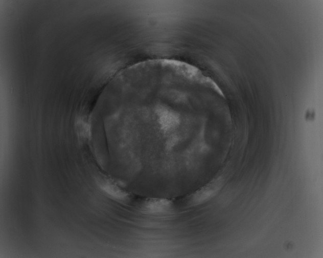 X0000100840576200807180923