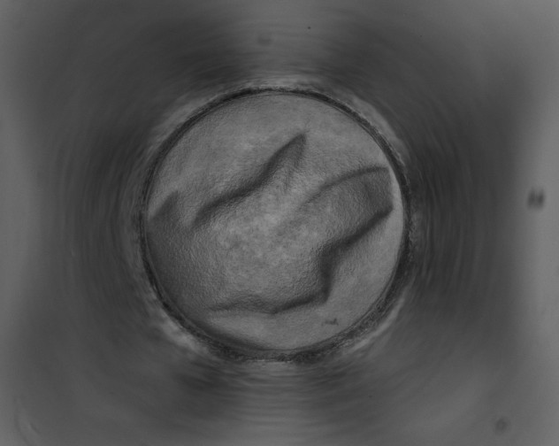 X0000100840577200807180922