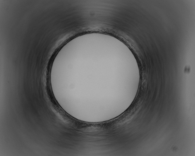 X0000100840578200807180922