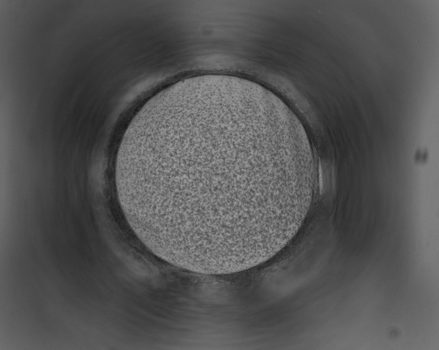 X0000100840579200807180922