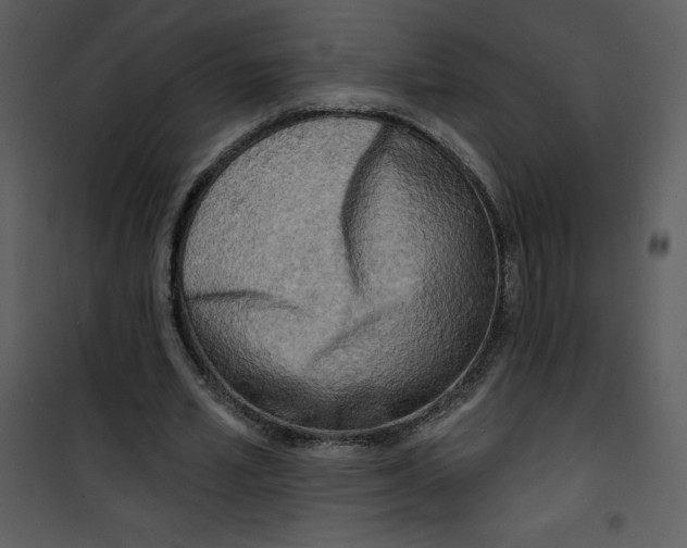 X0000100840581200807180922