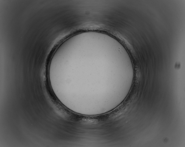 X0000100840582200807180922