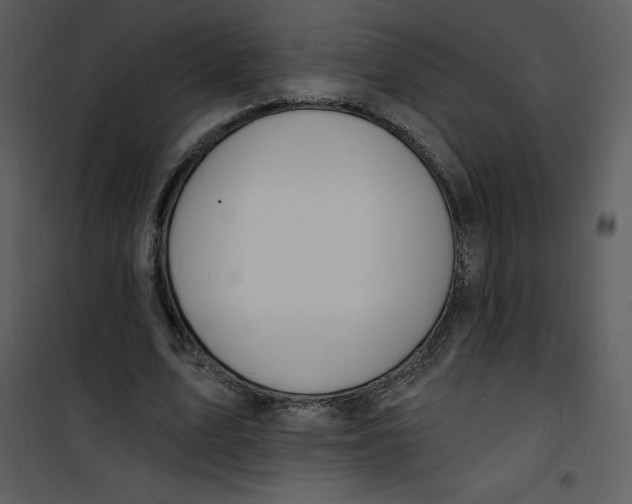 X0000100840583200807180922