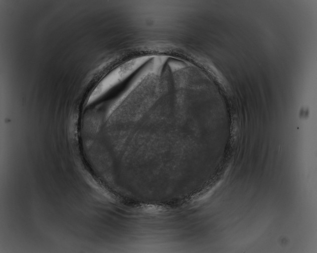 X0000100840585200807180922