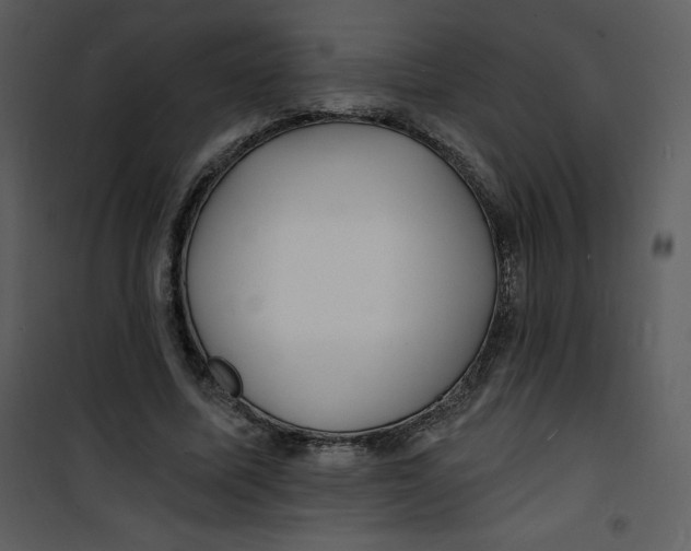 X0000100840587200807180922