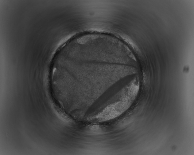 X0000100840588200807180922