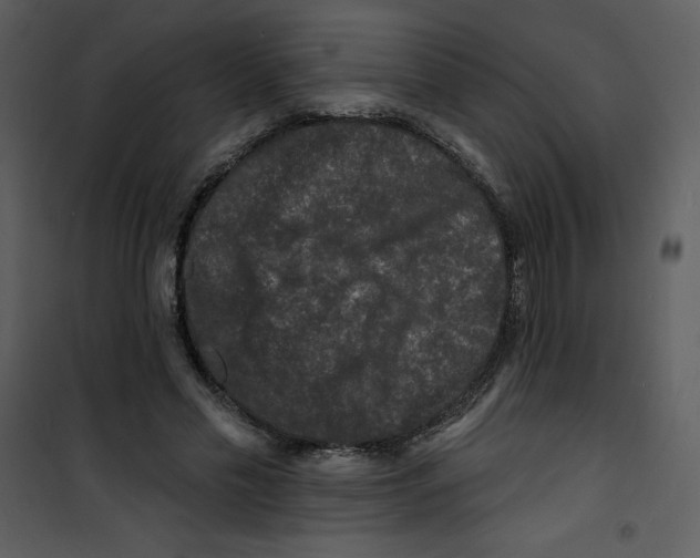 X0000100840589200807180922