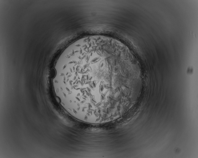 X0000100840590200807180922