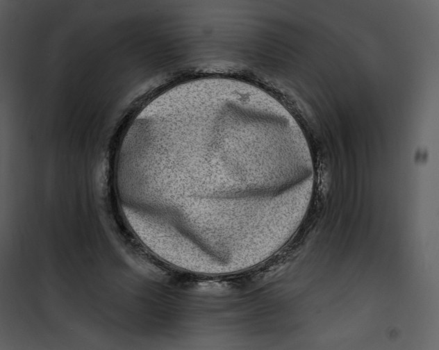 X0000100840591200807180922