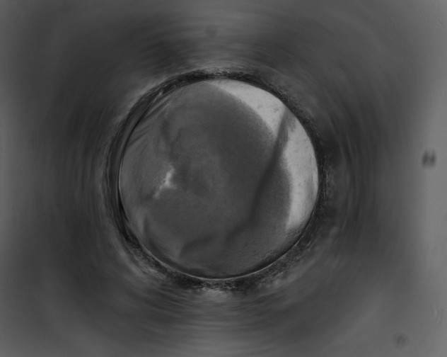 X0000100840592200807180922