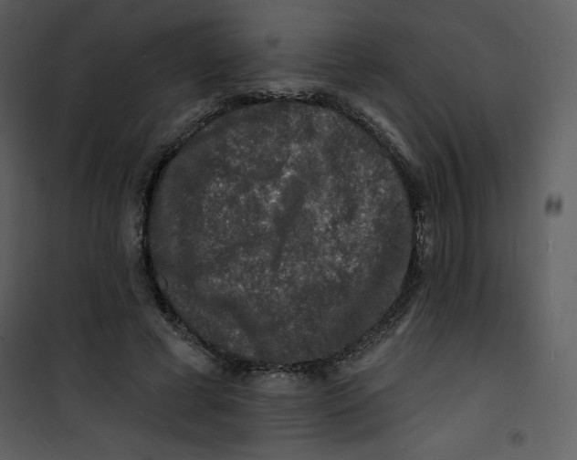 X0000100840593200807180922