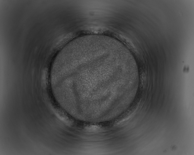 X0000100840594200807180922