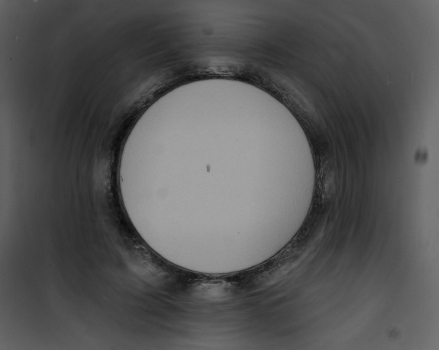 X0000100840595200807180922