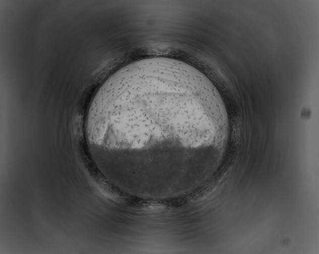 X0000100840598200807180922