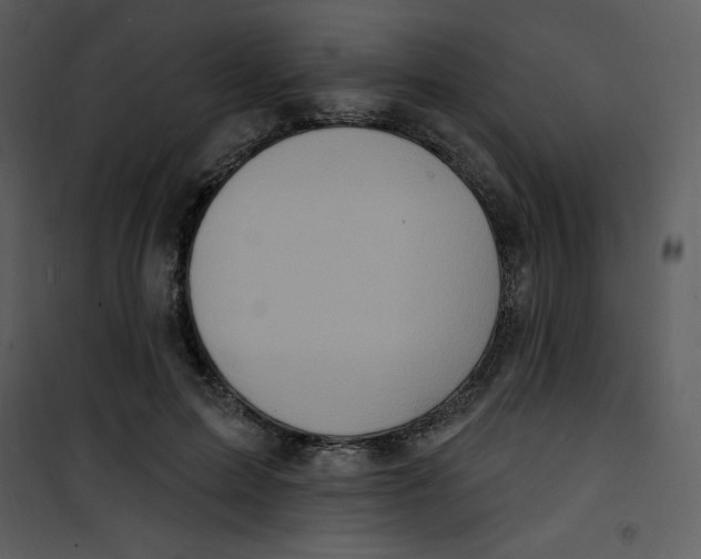 X0000100840599200807180922