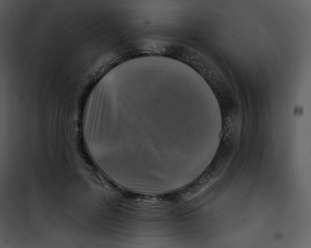 X0000100840600200807180922