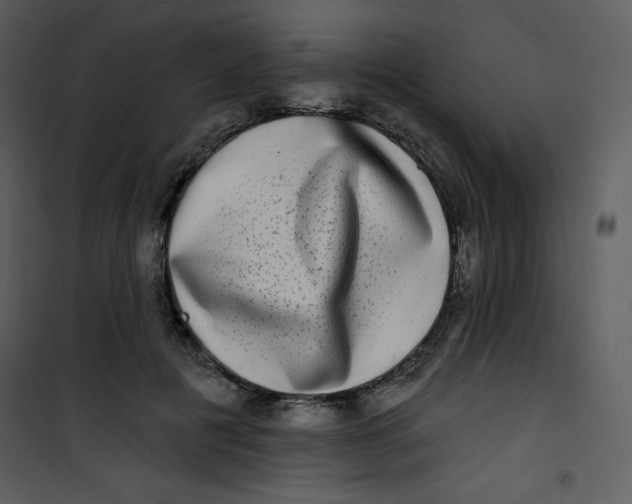 X0000100840601200807180922