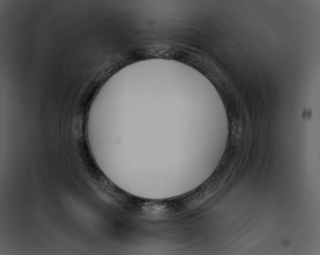 X0000100840602200807180922