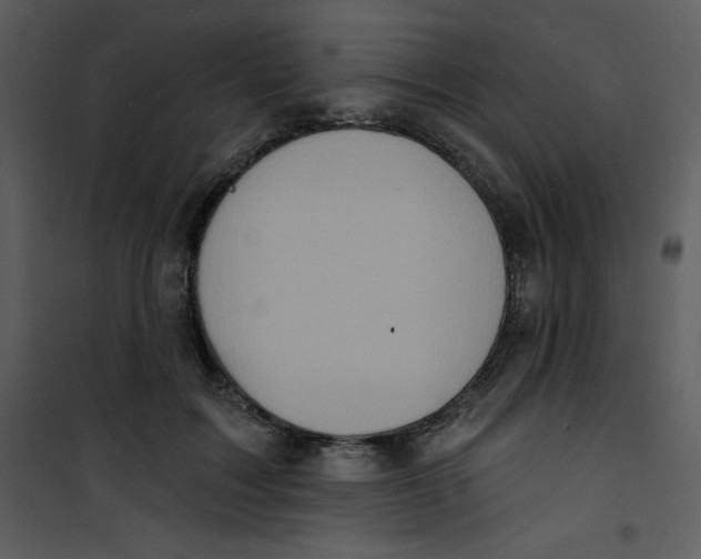 X0000100840603200807180922