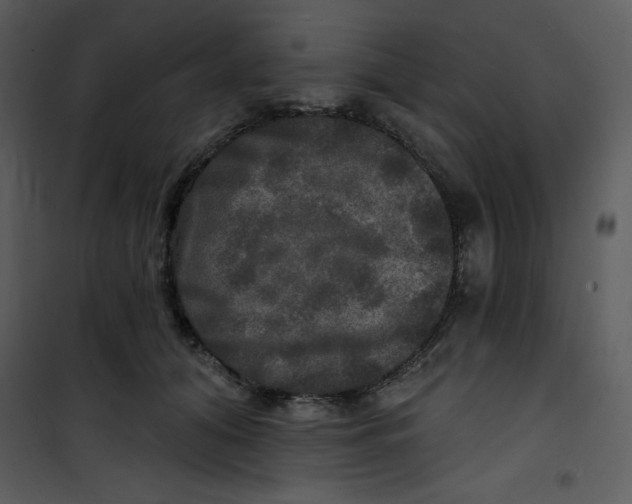 X0000100840608200807180922