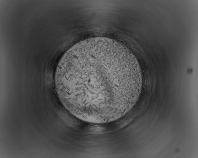 X0000100840610200807180922