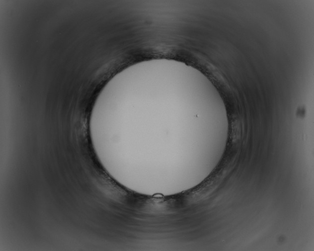 X0000100840613200807180922